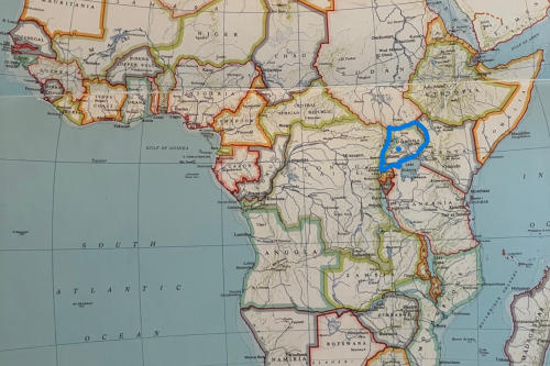 Foto van het Kat Project in Kampala, Oeganda