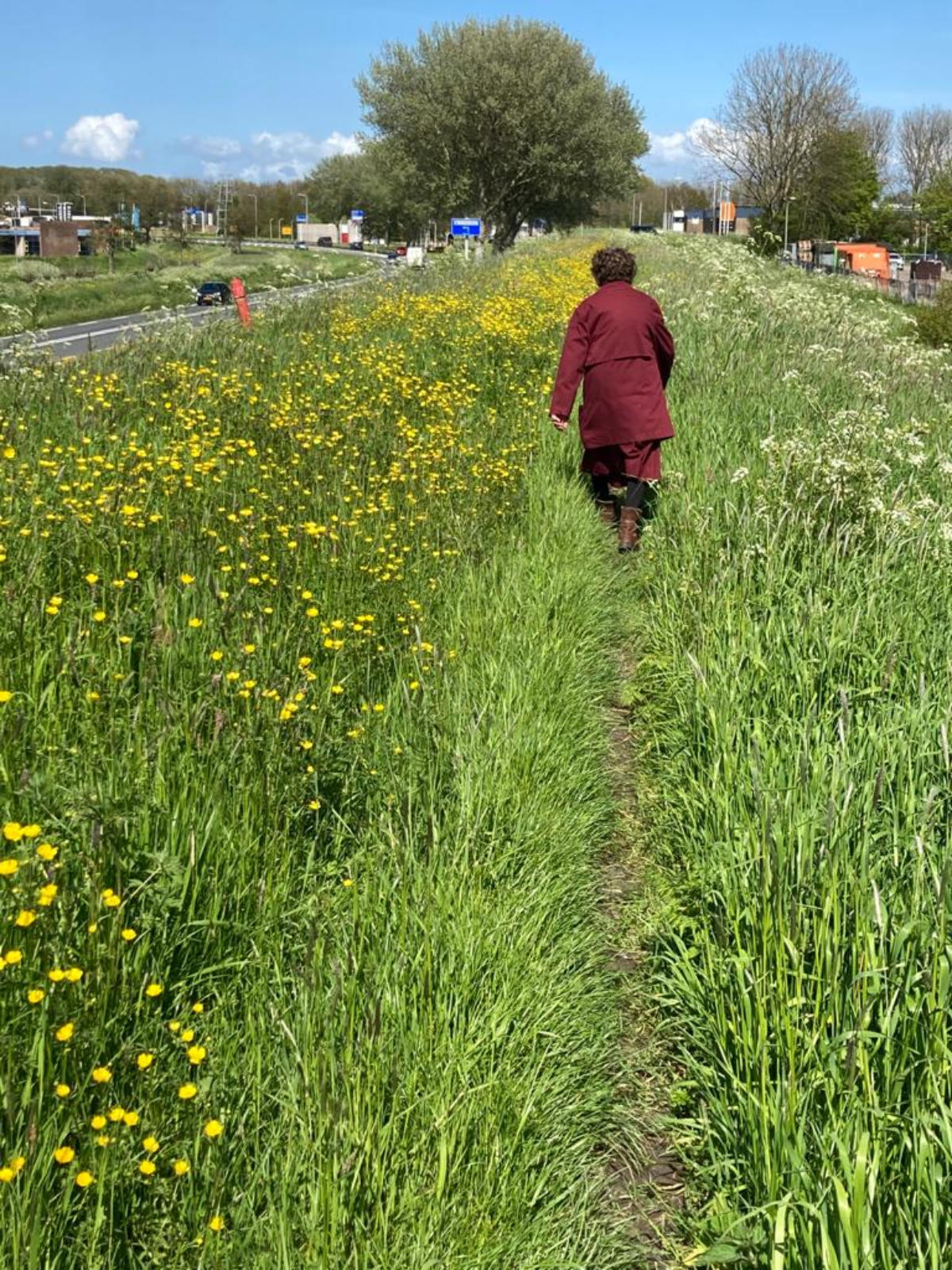 Foto van de wandelactie in juli 2021 1